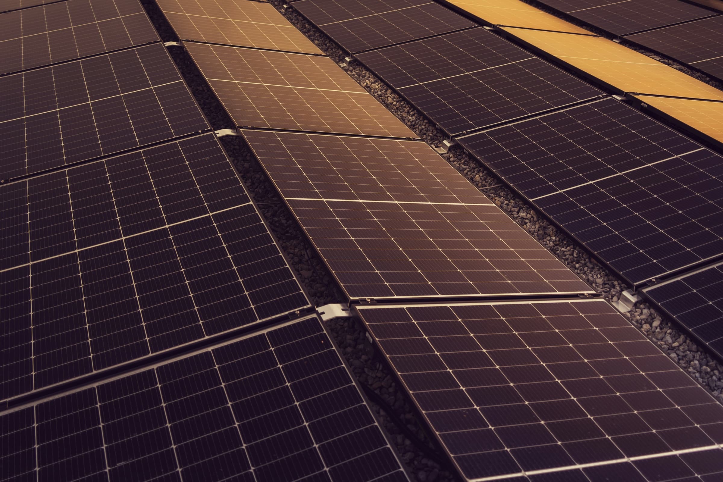 Freiflächen-Solarpark mit Modulreihen in Südausrichtung